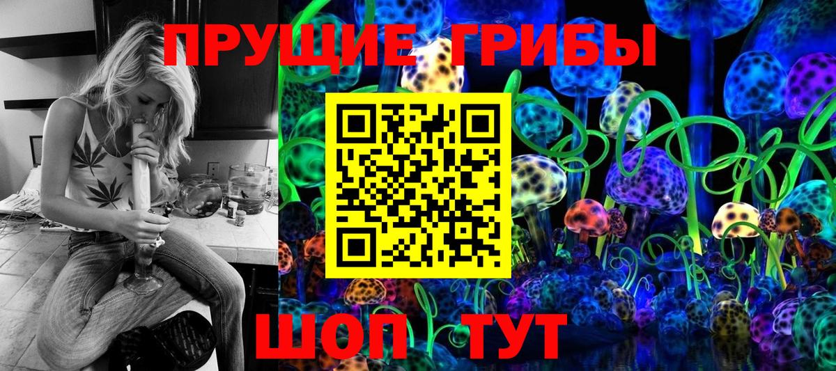 Орёл  продажа наркотиков  Вход с VPN  Псилоцибиновые грибы GOLDEN TEACHER 